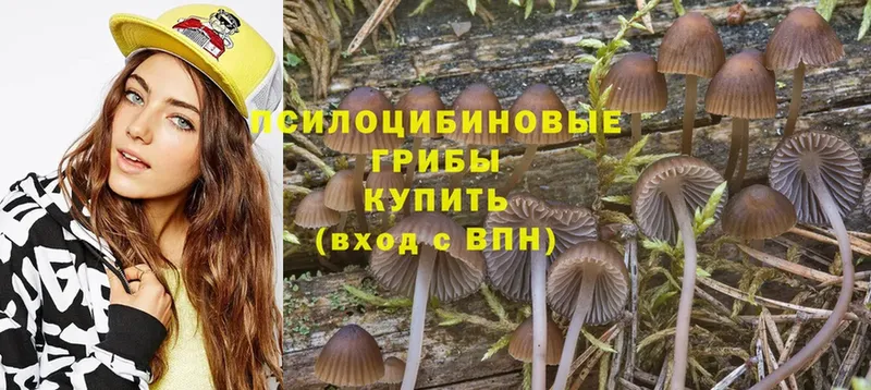 Галлюциногенные грибы Magic Shrooms  Чехов 